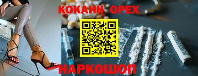 ПСИЛОЦИБИНОВЫЕ ГРИБЫ Аргун