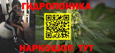 ПСИЛОЦИБИНОВЫЕ ГРИБЫ Аргун